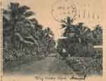 German Samoa postcard view in 1907.
Click to see the postcard in actual size.