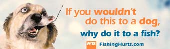 Fishing is barbaric and cruel.
Click here for more information.